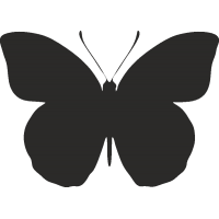 Бабочка 11