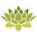 Зеленый цветок лотоса