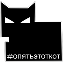 Опять этот кот