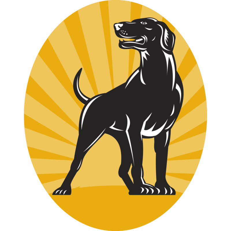 Собака на гербе. Эмблема собаки. Собака на гербе рисунок. Пес герб.