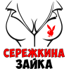 Сержкина зайка