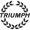 Triumph - Триумф
