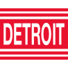 Логотип Detroit Red Wings - Детройт Ред Уингз