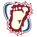 Логотип Colorado Avalanche - Колорадо Эвеланш